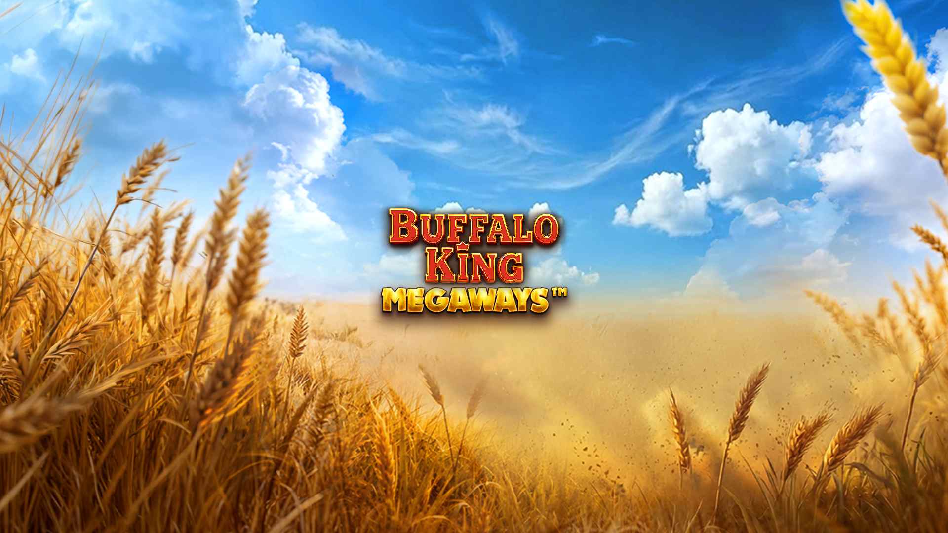 Buffalo King Megaways
